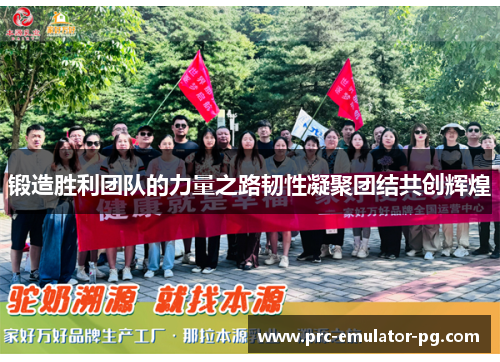 锻造胜利团队的力量之路韧性凝聚团结共创辉煌