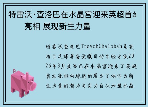 特雷沃·查洛巴在水晶宫迎来英超首发亮相 展现新生力量 特雷沃·查洛巴在水晶宫迎来英超首发亮相 展现新生力量