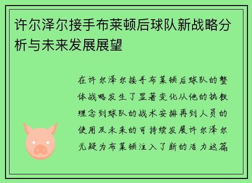 许尔泽尔接手布莱顿后球队新战略分析与未来发展展望 许尔泽尔接手布莱顿后球队新战略分析与未来发展展望